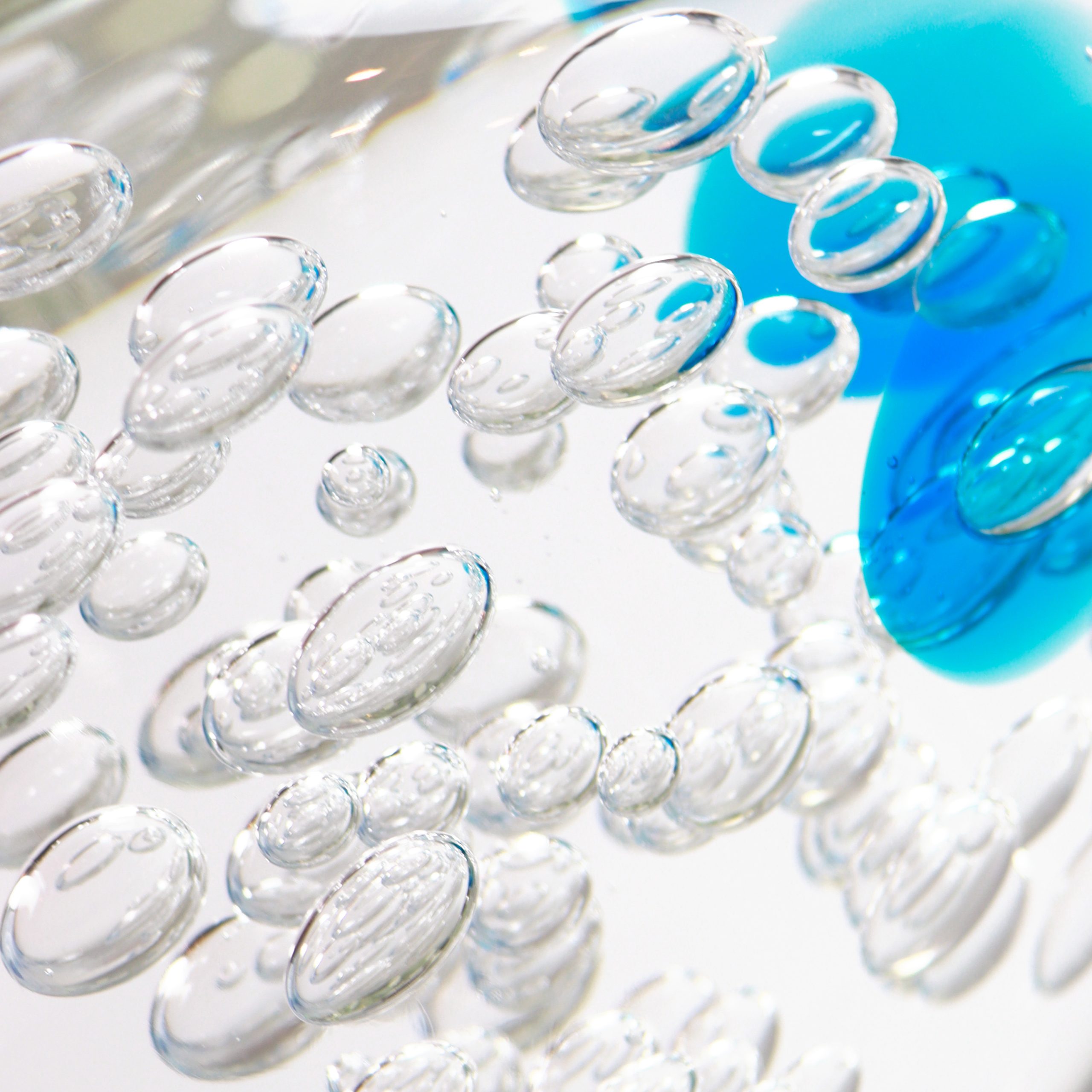 pesce_cristallo_acquamare_dett1_2025