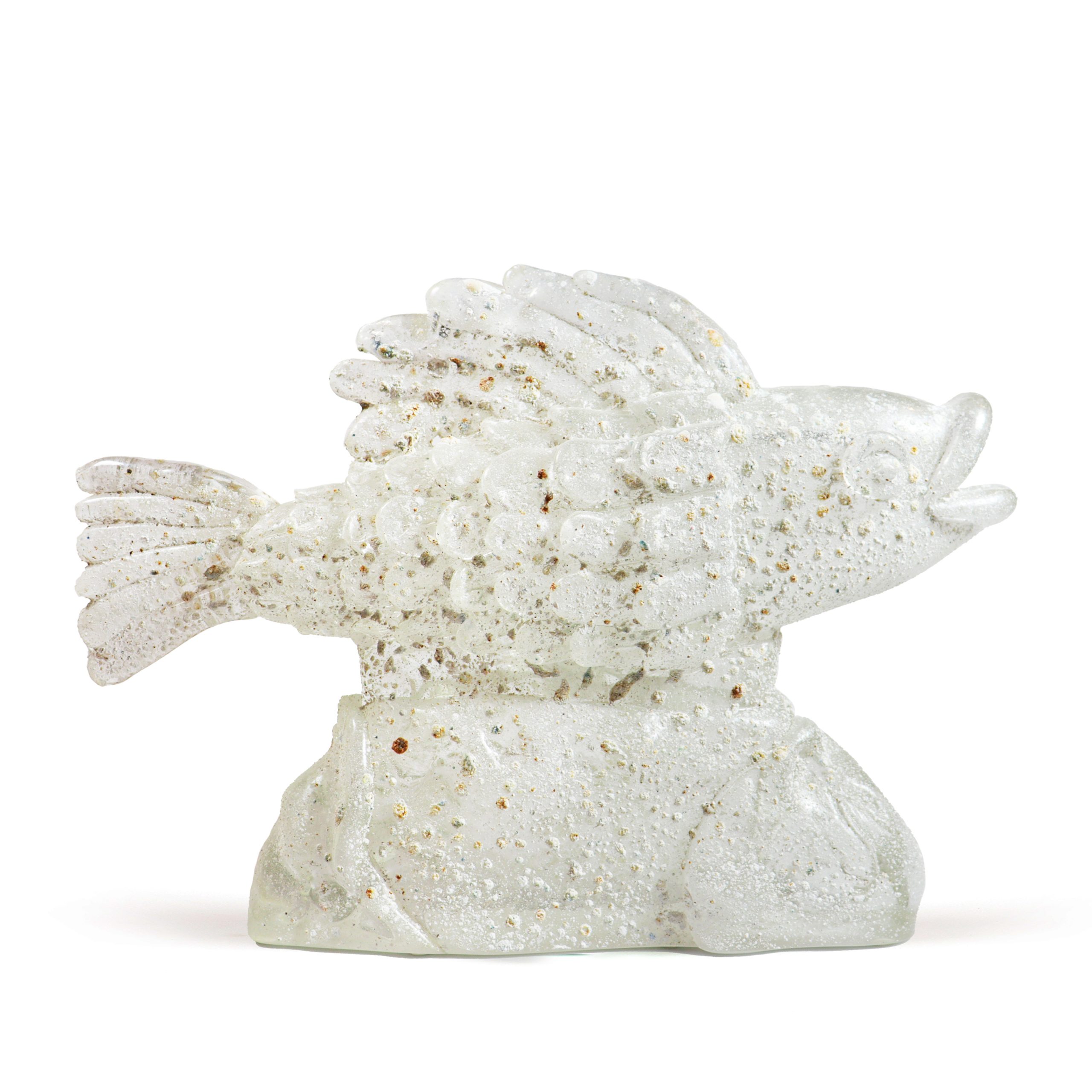 pesce_cristallo_scavo_2025