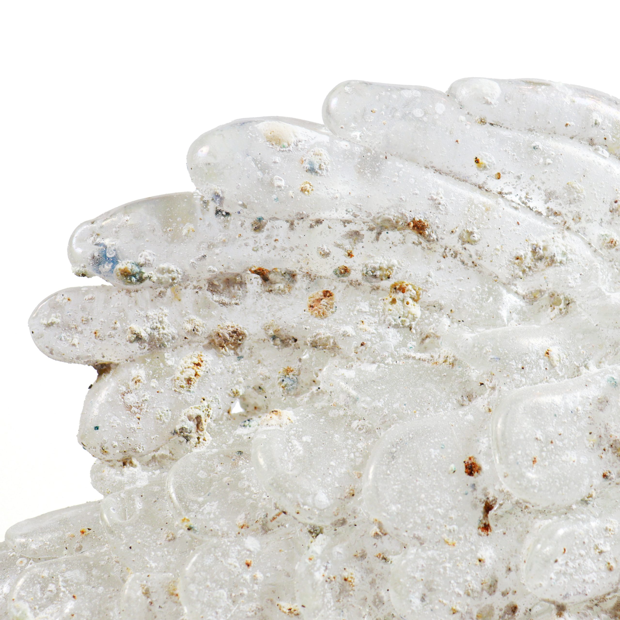 pesce_cristallo_scavo_dett1_2025