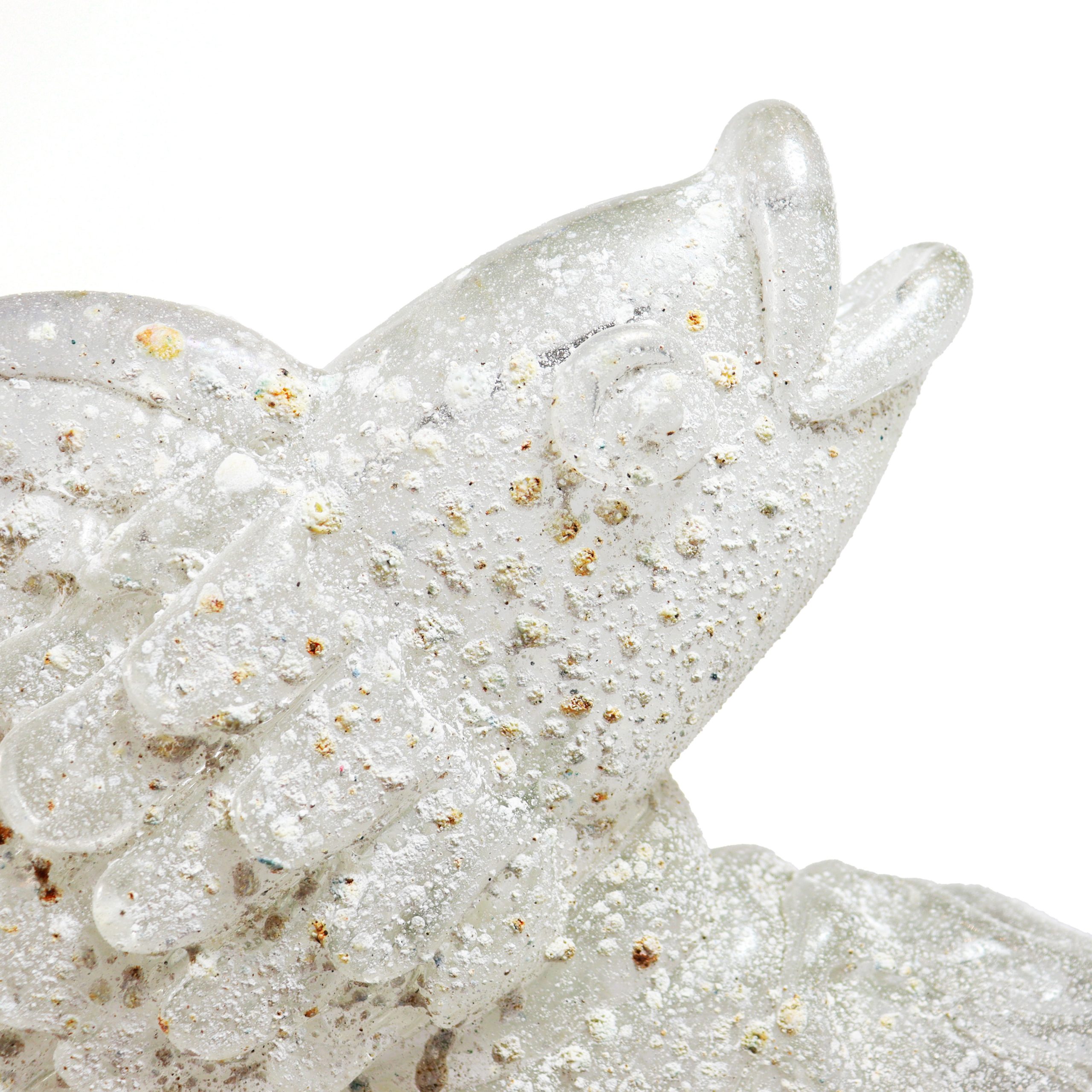 pesce_cristallo_scavo_dett2_2025